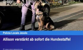 Allison verstärkt ab sofort die Hundestaffel