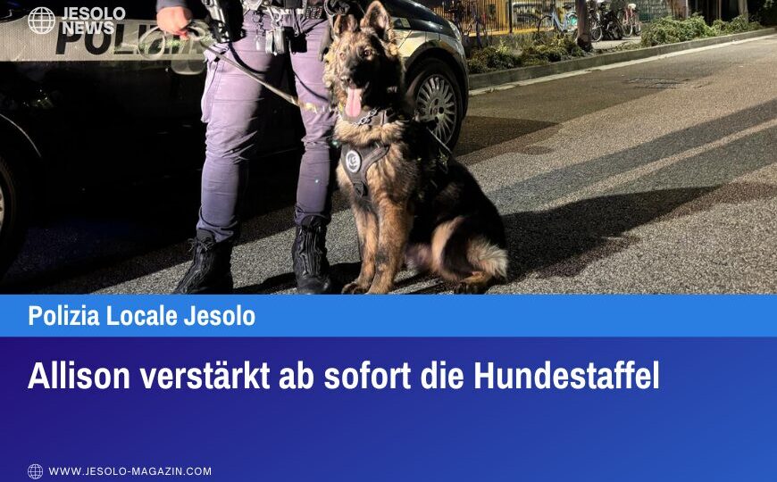 Allison verstärkt ab sofort die Hundestaffel